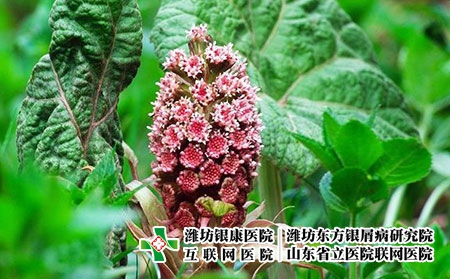 2 (124)